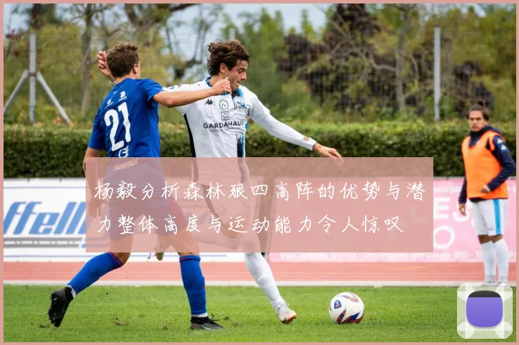 杨毅分析森林狼四高阵的优势与潜力整体高度与运动能力令人惊叹